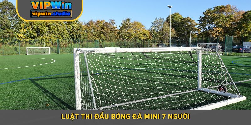 Luật Thi Đấu Bóng Đá Mini 7 Người - Kiến Thức Nền Tảng