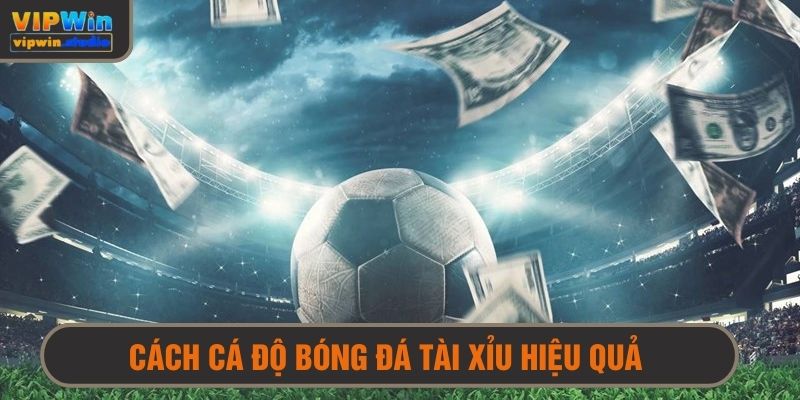 Cách cá độ bóng đá tài xỉu hiệu quả dễ chiến thắng nhất