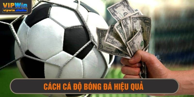 cách cá độ bóng đá hiệu quả