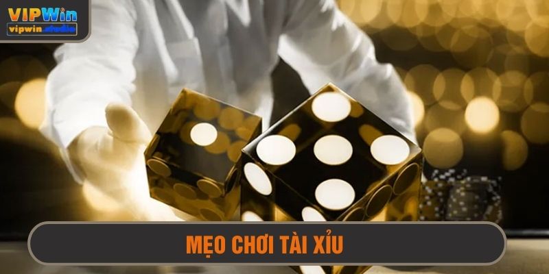 mẹo chơi tài xỉu