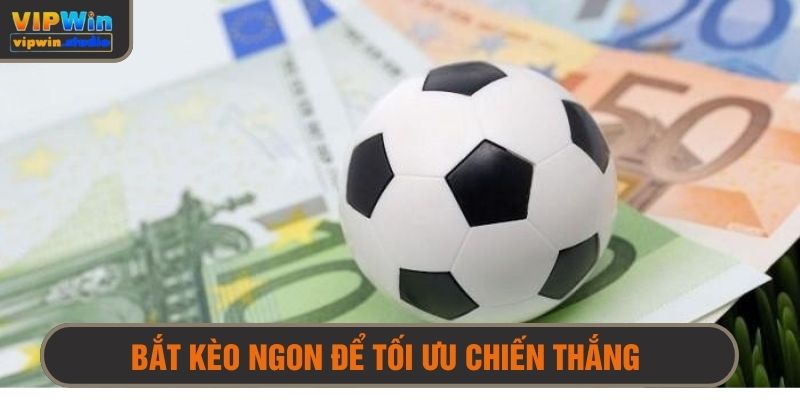 Kinh nghiệm chơi từ cao thủ - Biết chọn kèo ngon tối ưu chiến thắng