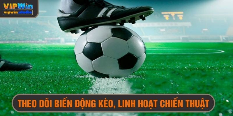 Theo dõi biến động tỷ lệ cược để linh hoạt chiến thuật