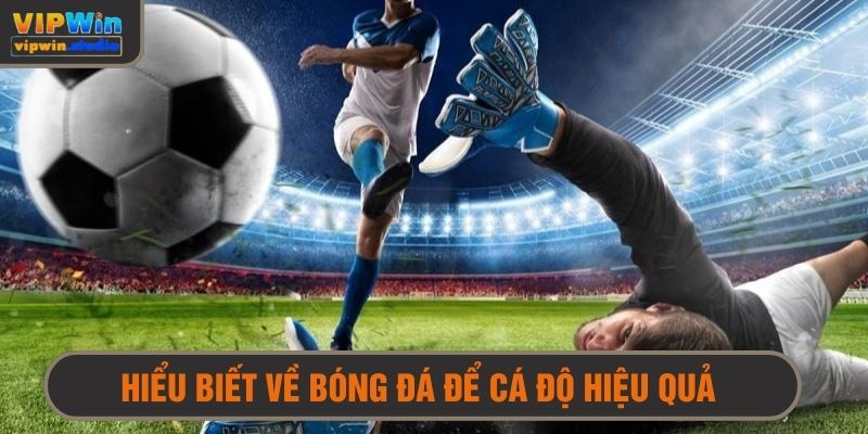 Kinh nghiệm chơi cá độ hay là cần có kiến thức sâu về bóng đá