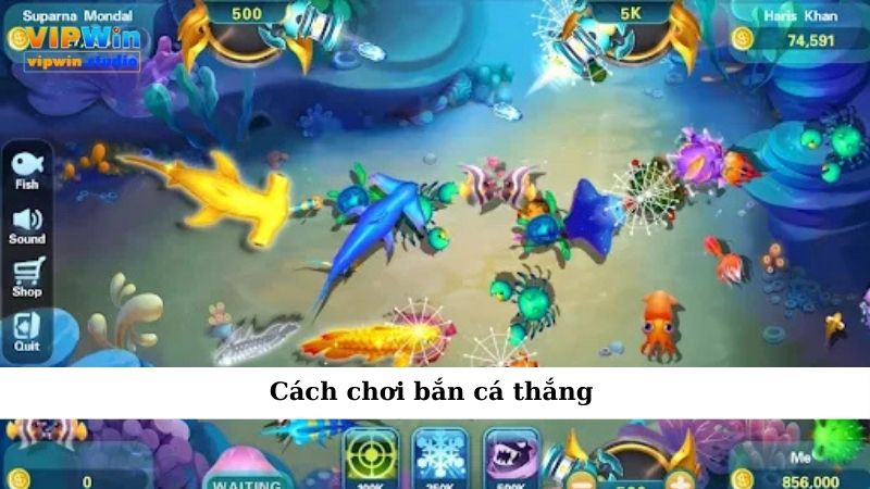 Cách chơi bắn cá thắng