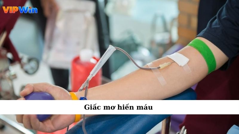 Giấc mơ hiến máu