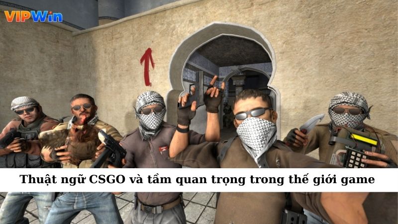 Thuật ngữ CSGO